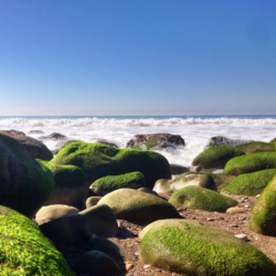 El Capitan Beach with waves crashing on rocks