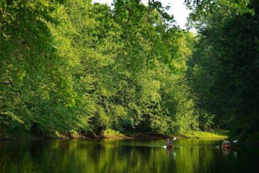 Two kayakers float down a river.